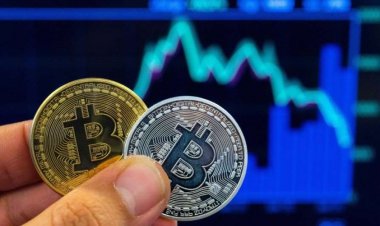 ക്രിപ്‌റ്റോകറൻസി നിരോധനത്തിന് ഉന്നതതല സമിതിയുടെ ശുപാർശ