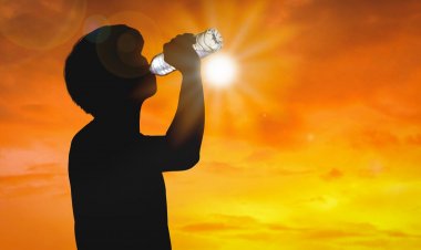 ചൂട് കനത്തു ഒപ്പം രോഗങ്ങളും