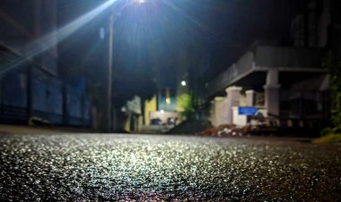 സംസ്ഥാനത്ത് നാളെ മുതല്‍ രാത്രി കര്‍ഫ്യൂ; പൊതുഗതാഗതത്തിന് നിയന്ത്രണമുണ്ടാകില്ല