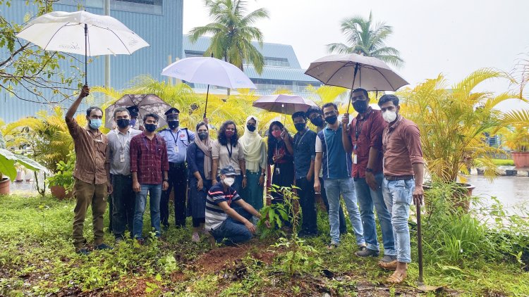 സൈബര് പാര്ക്കില് പരിസ്ഥിതി ദിനത്തോടനുബന്ധിച്ച് മരത്തൈകള് നട്ടു
